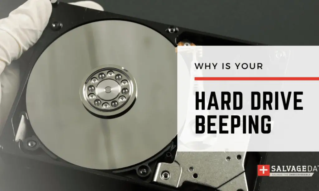 Why is my external hard drive beeping and not working? Darwin's Data