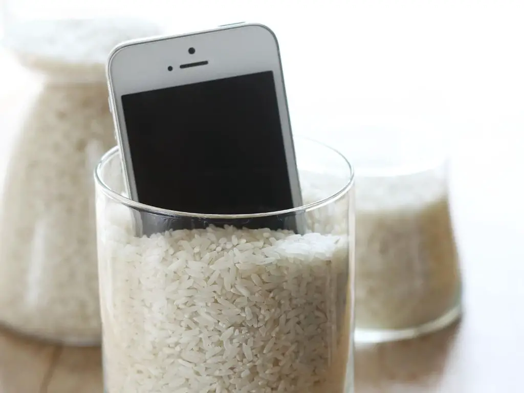 How long does it take for rice to dry out electronics