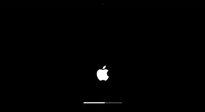 Why wont my Mac go past the startup loading screen