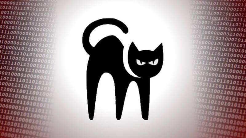 What is BlackCat malware