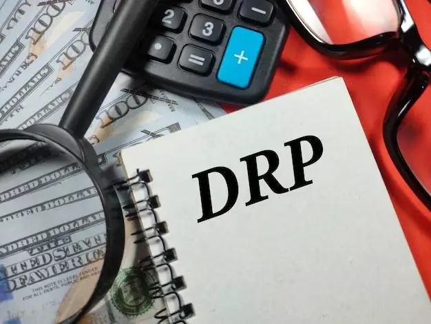 What does DRP stand for in work