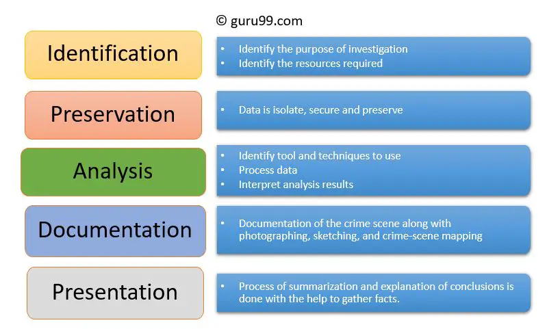 What are the different types of reports in digital forensics