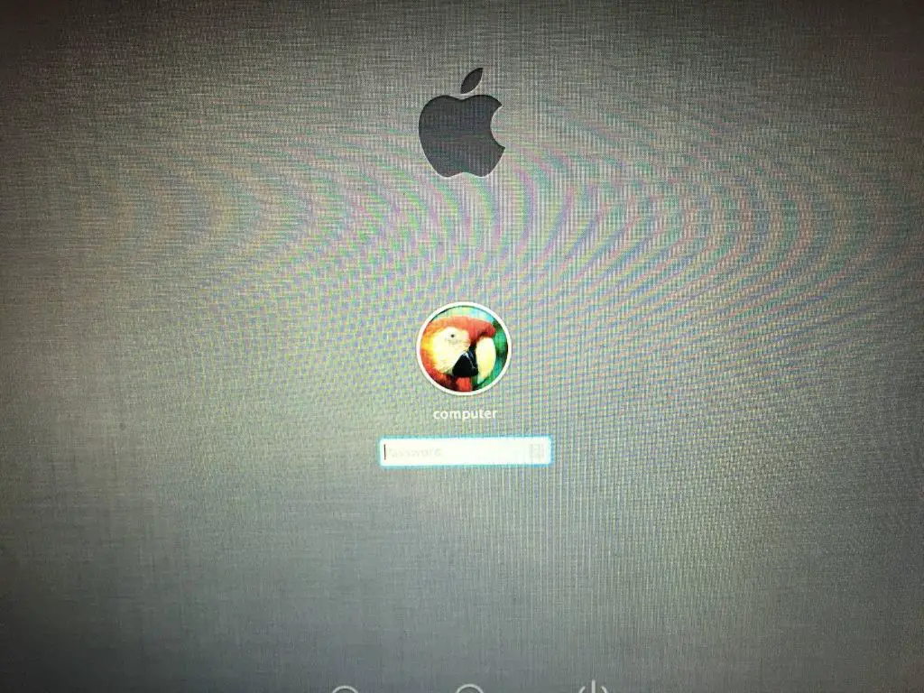 Why is my Mac flashing a world