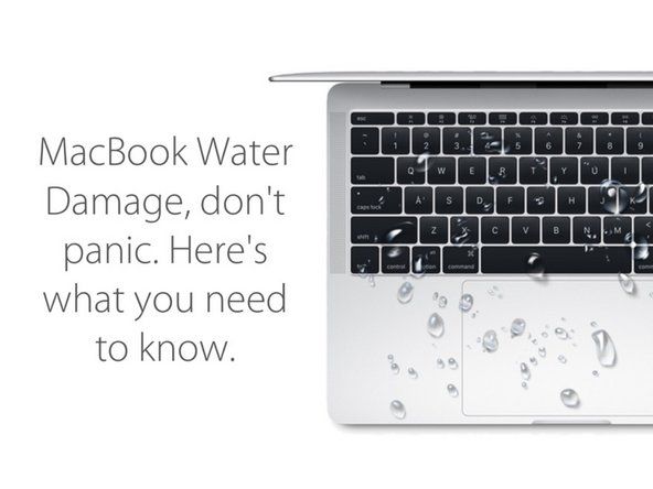 How do you fix liquid damage on a Mac keyboard