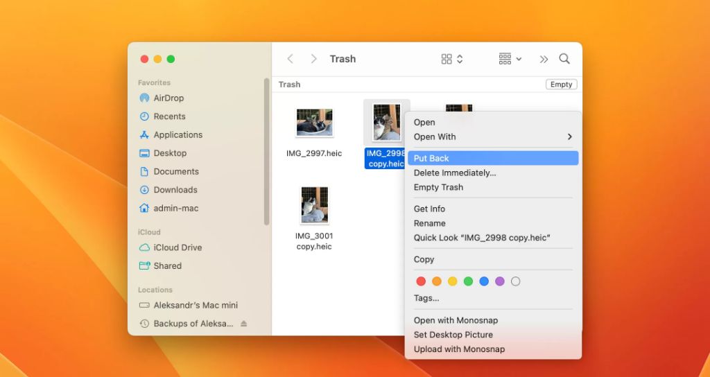 How do I get all files back from trash on Mac