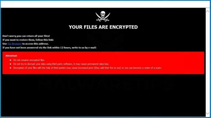 What does it mean when your files are encrypted