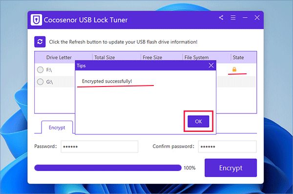 How to lock pen drive with password in Windows 11 without BitLocker
