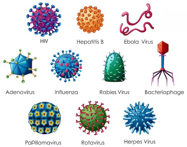 What are the most common iPhone virus