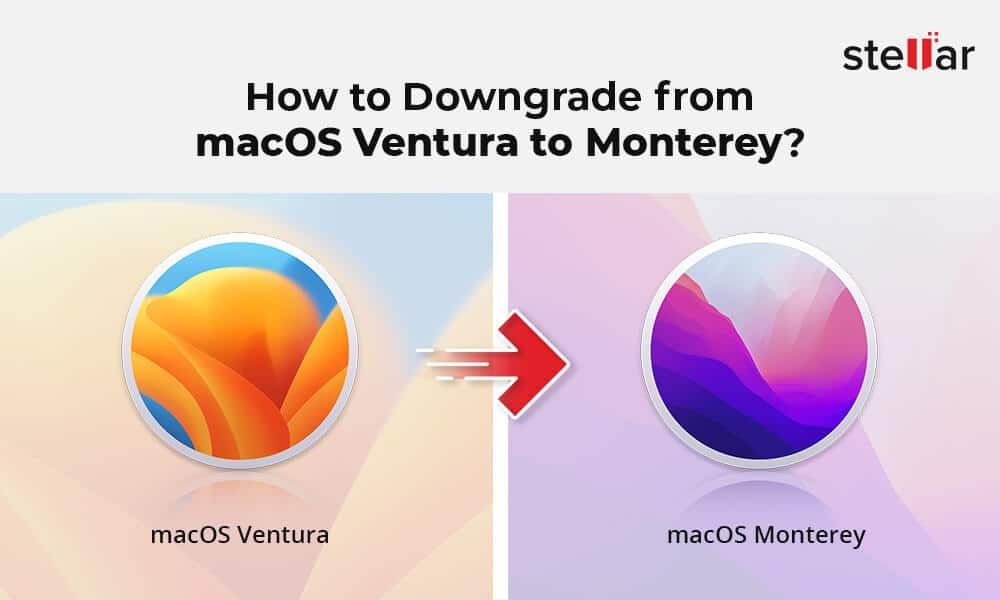 How do I downgrade Ventura Monterey