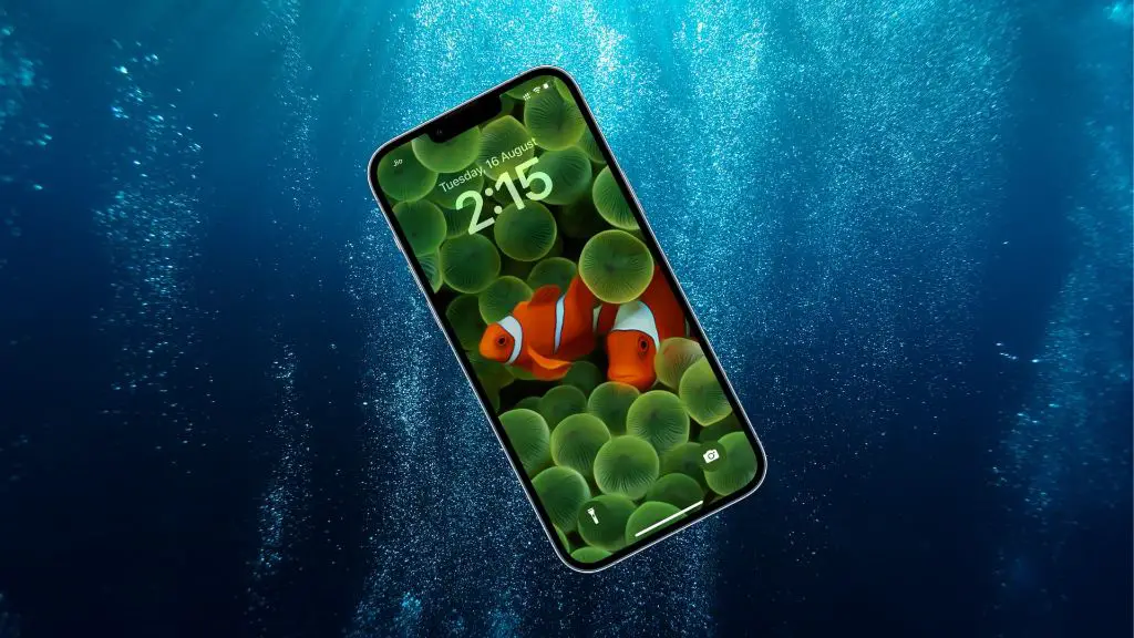 What happens if my Iphone 12 Pro falls in water