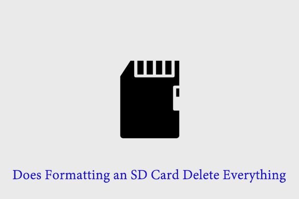 Will formatting SD card delete everything