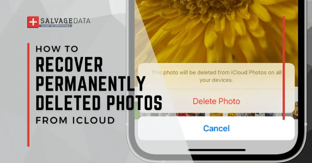 Why can't I see deleted photos on iCloud