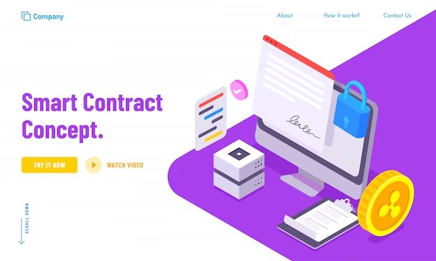What is the contract data