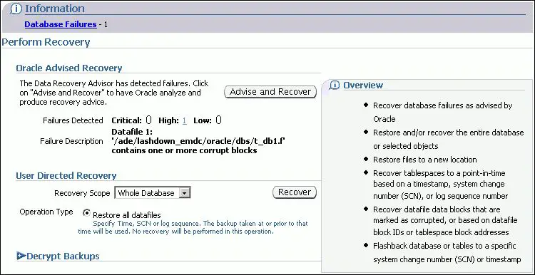 Which operations can be performed using the data recovery advisor