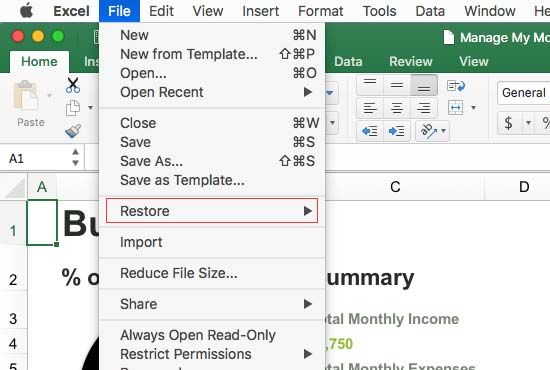 How do I recover an older version of an Excel file on a Mac