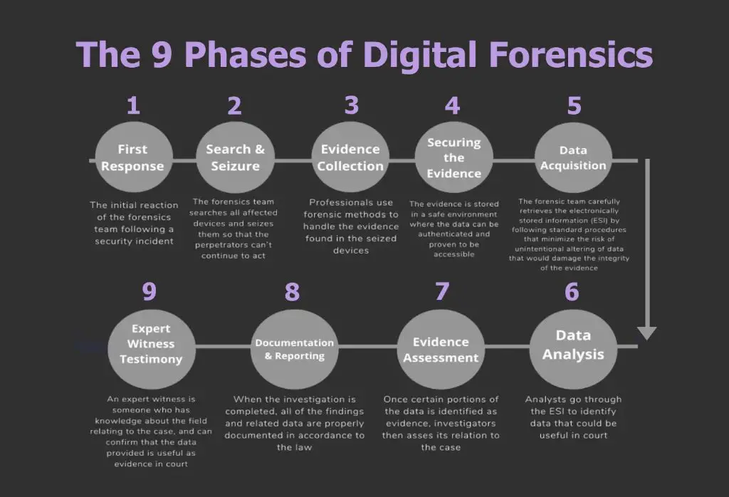 What are the 4 phases of digital forensics