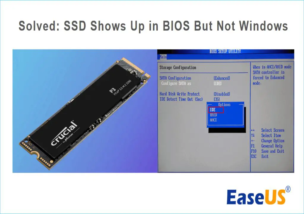 Why Windows doesn't detect SSD but BIOS does