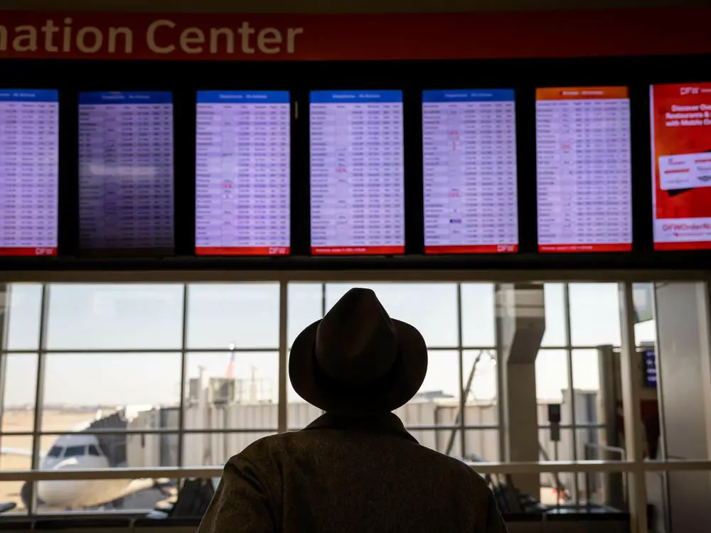 Did FAA contractors deleted files and inadvertently grounded thousands of flights