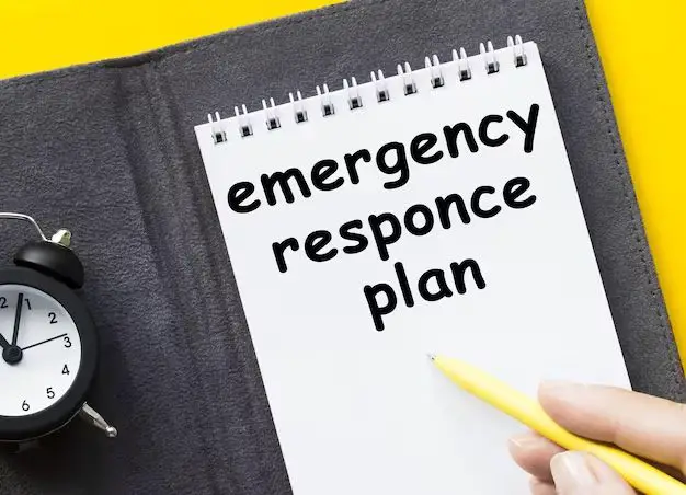 What is the DRP response plan