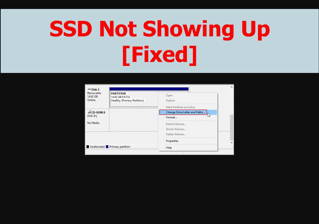 Why is my SSD connected but not showing in disk Management