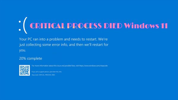 Why does Windows 11 say critical process died