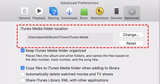 Where are purchased songs from iTunes stored on iPhone