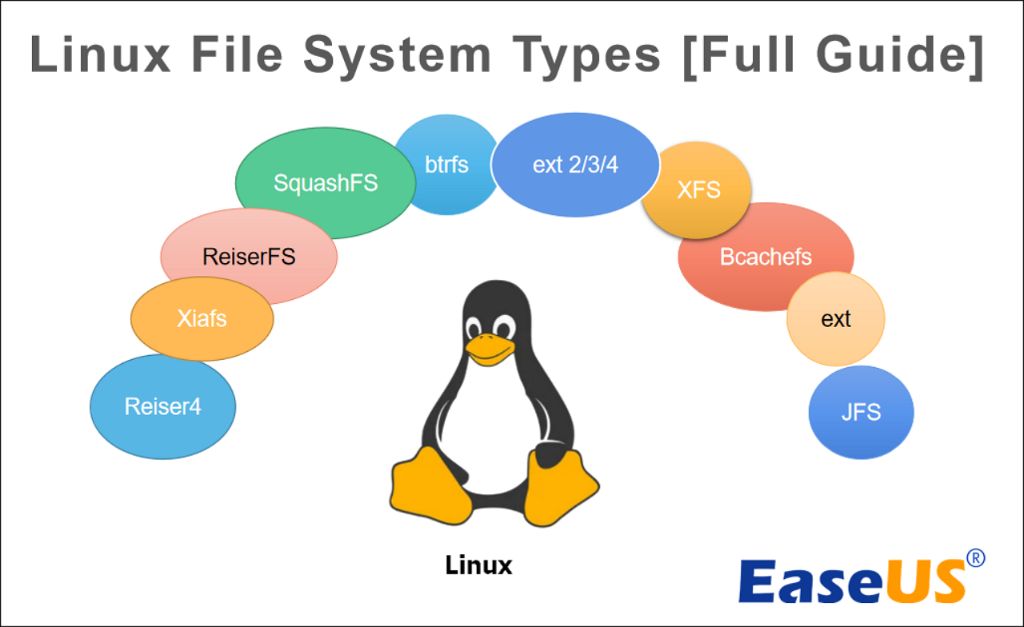 What are the different file systems in Linux