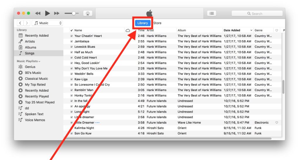 What is the difference between iTunes library and iTunes music library