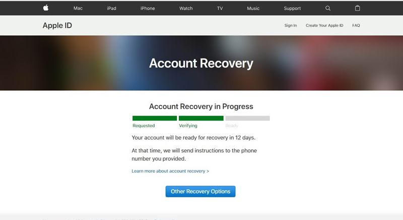 How do I check my Apple account recovery status