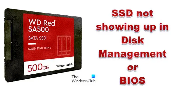 Why is my SSD not in Disk Management