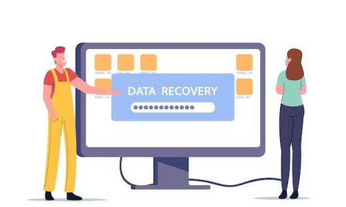 What is HP Device Recovery Service?